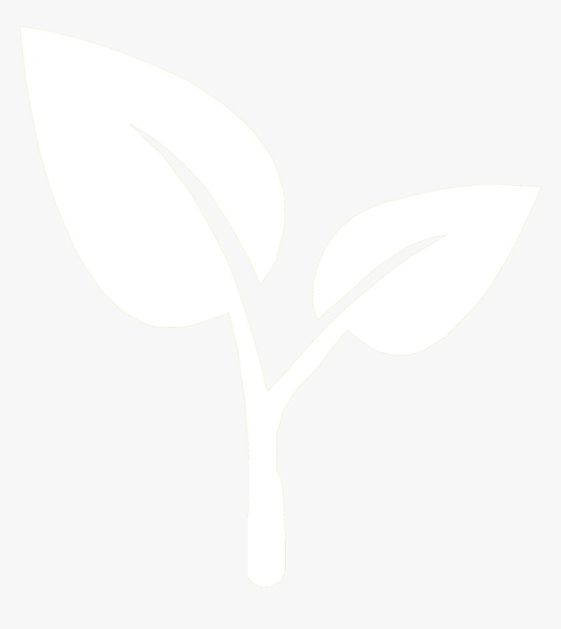 En savoir plus sur cazeus login